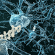 Image for article titled New Blood Test Could Definitively Diagnose Alzheimer's Disease